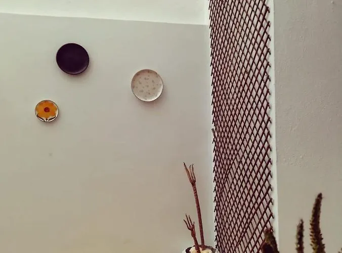 Ap 3 לאגוּ‏ש